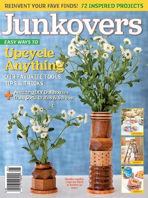 cover image of Junkovers 